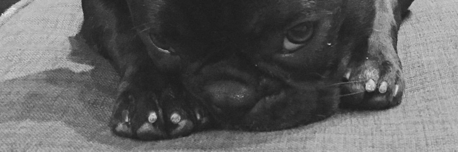 DrRSK412's profile banner image