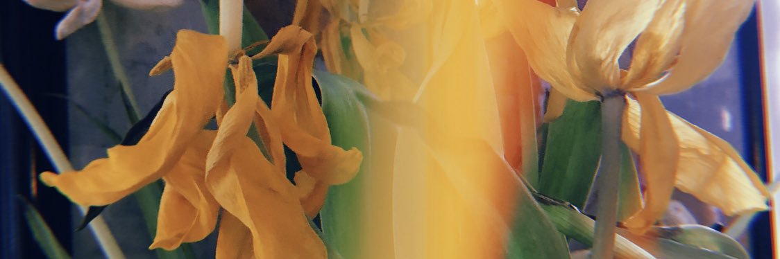 lovee_irie's profile banner image
