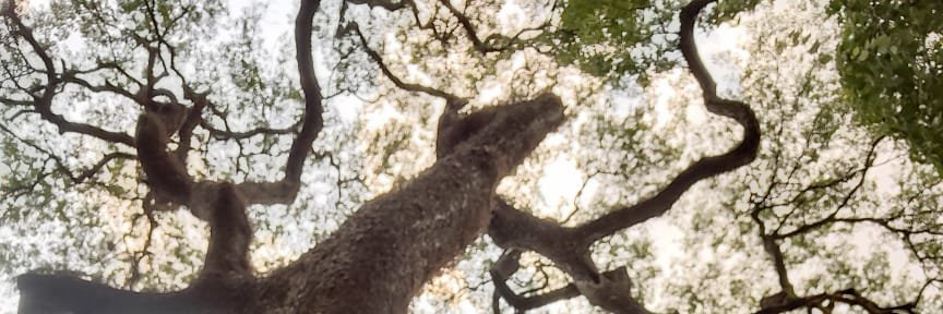 adocsa's profile banner image