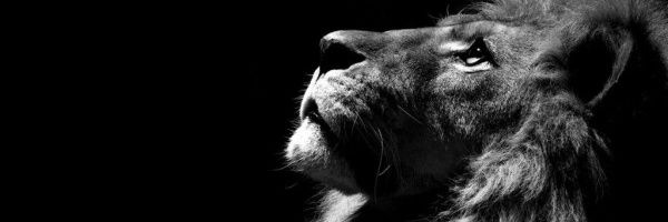 AitorSeis's profile banner image