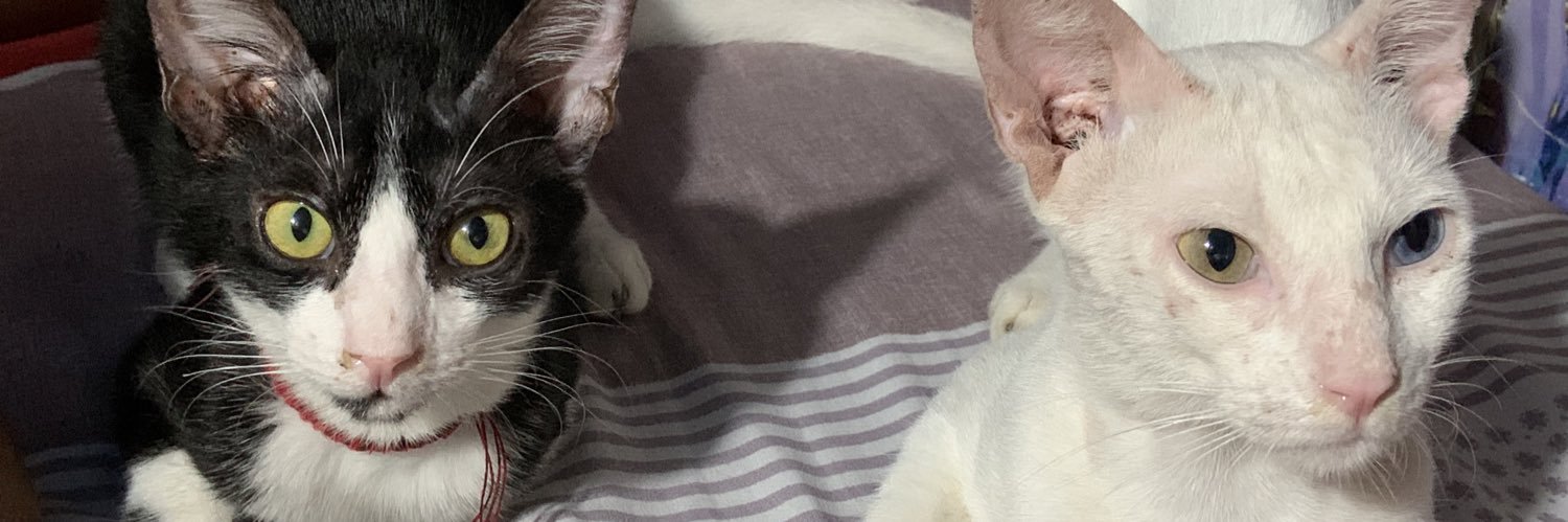 lyralimrey12's profile banner image