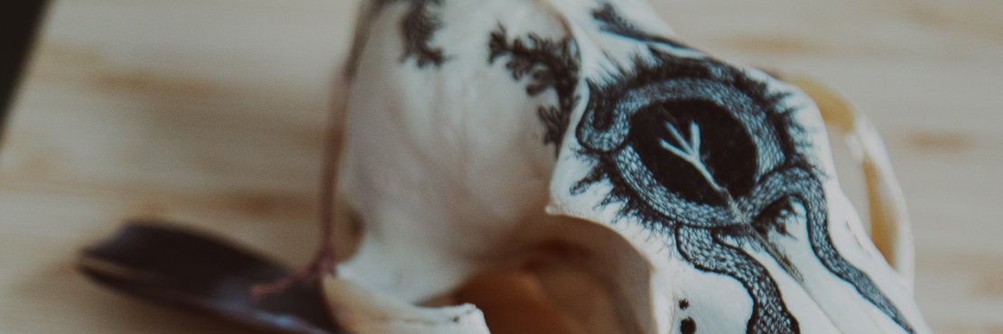hawkstrology's profile banner image