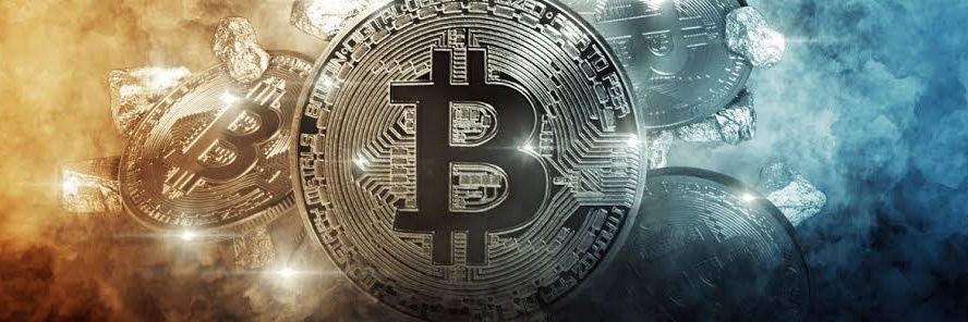 Crypto Free 🐉 $MON banner