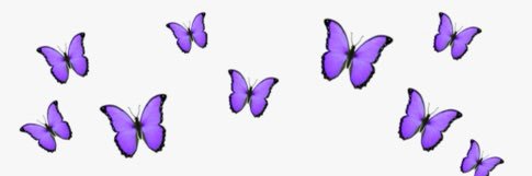 Hannnneeeyy's profile banner image