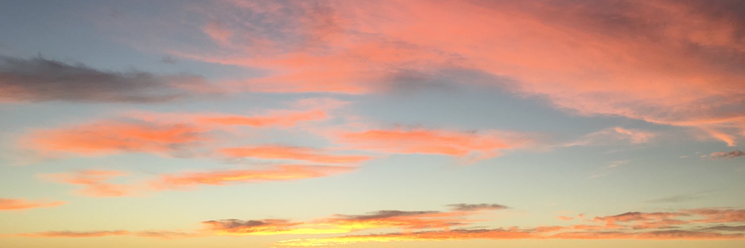 chloeedevries's profile banner image