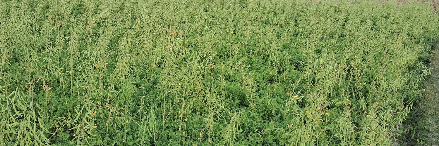 Atul Kumar, PhD banner