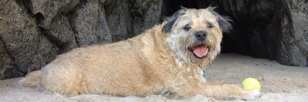 Mick_Martini Profile Banner