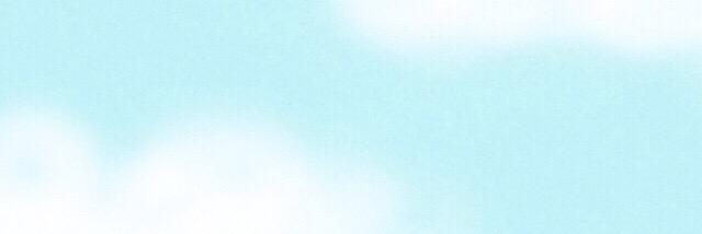 Carolina Herrera banner