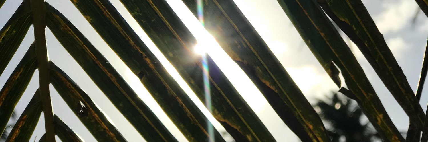 DiazRadipul's profile banner image