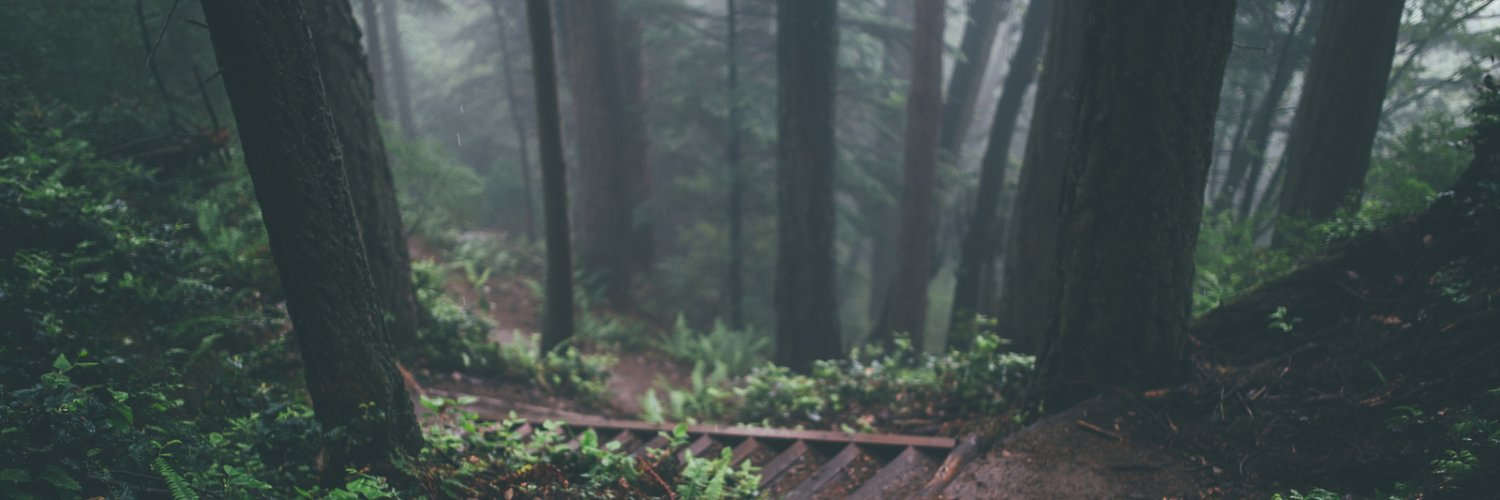 mararac154's profile banner image
