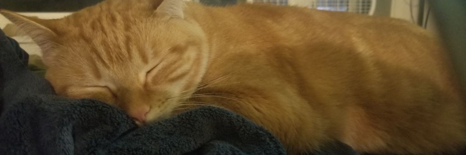 AnarchySai's profile banner image