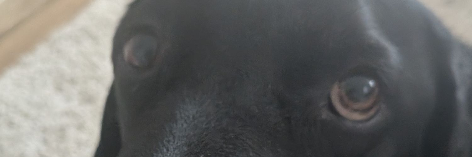 Deankeating's profile banner image