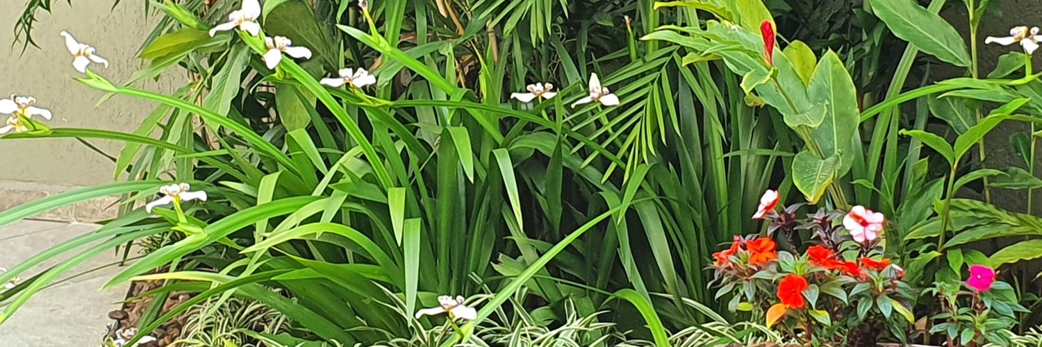 MaraBeatriz's profile banner image