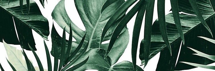 ginabrown_'s profile banner image