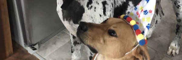 roythesecond Profile Banner