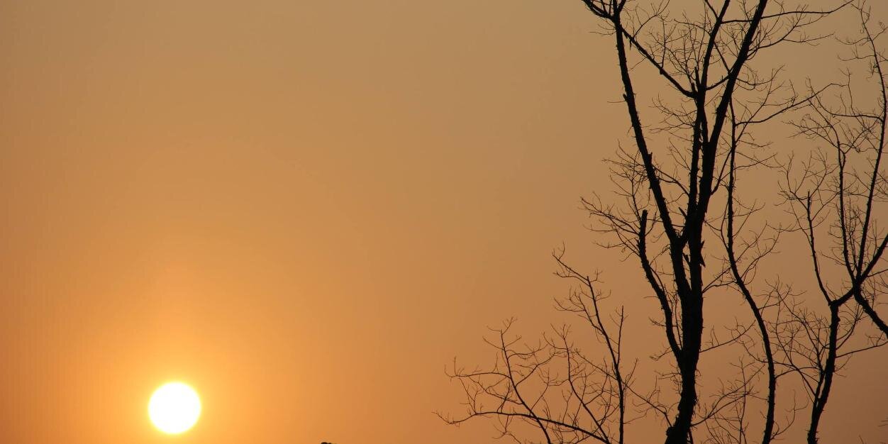 Linhlizi's profile banner image