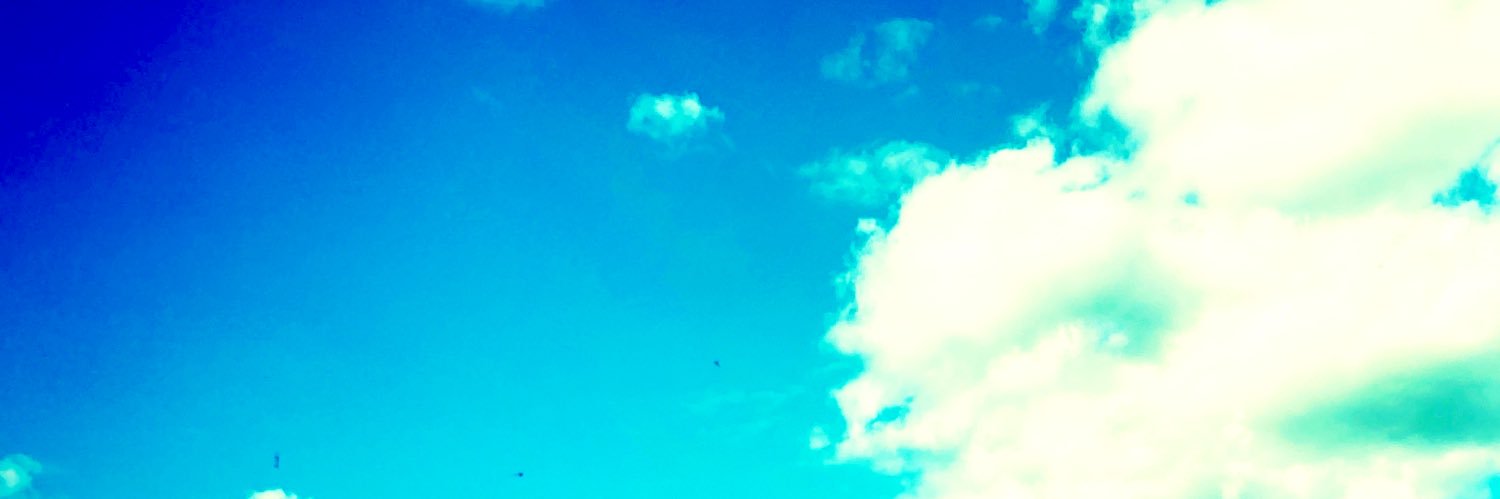 N_a_Chi__'s profile banner image