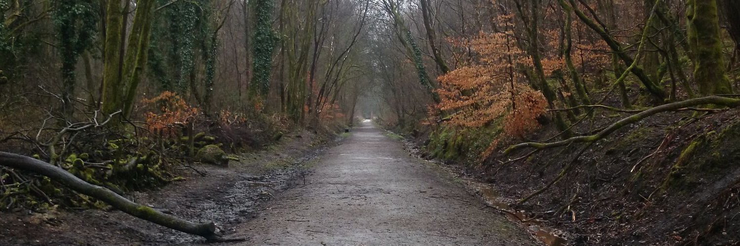 BenjaminMurph14's profile banner image