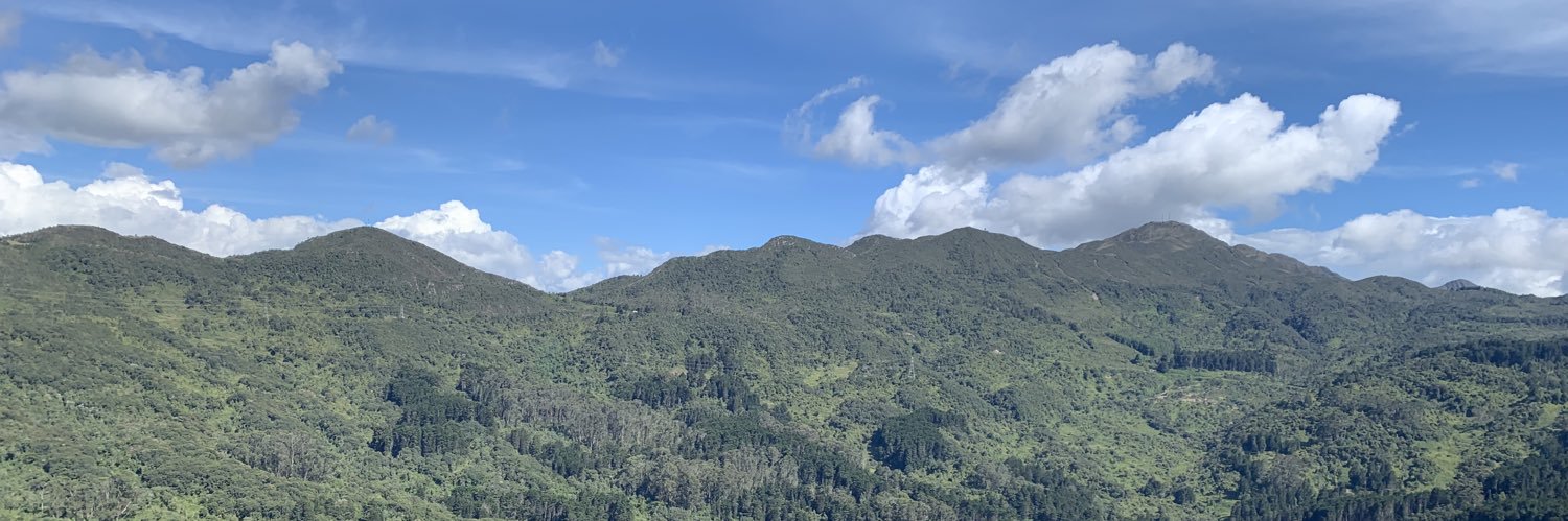 carodriguezn's profile banner image