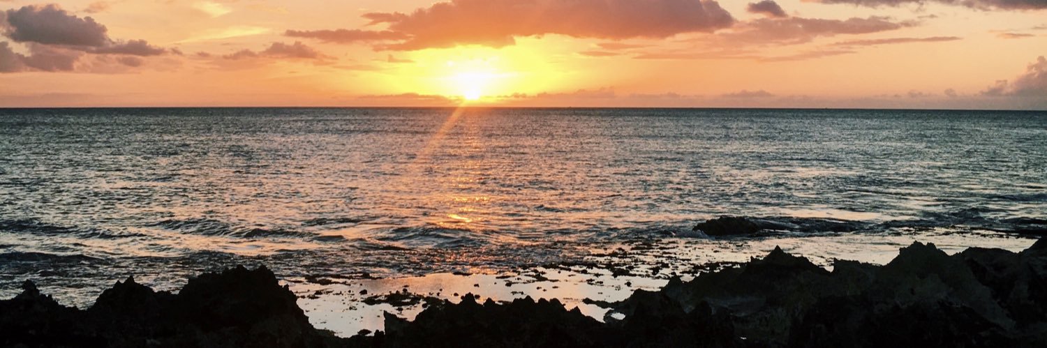 jamiemahinalani's profile banner image