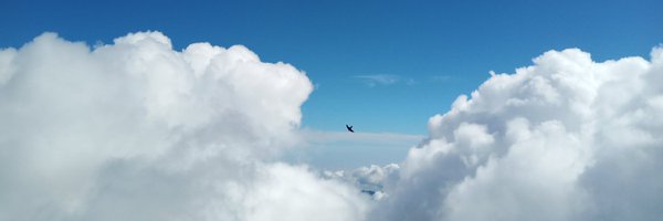 nadjibbbbb Profile Banner