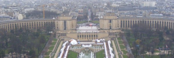 dilted Profile Banner