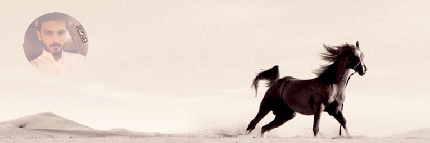 ˹𝐍𝐀𝐘𝐅˺ ‏𓅓 banner