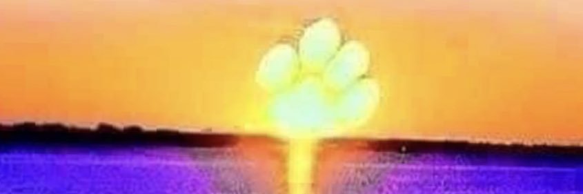 Footboudreaux's profile banner image