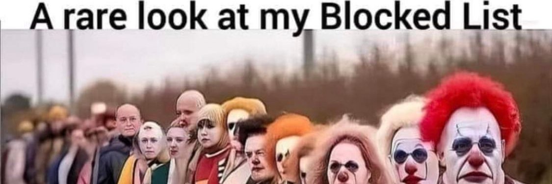 .Alex banner