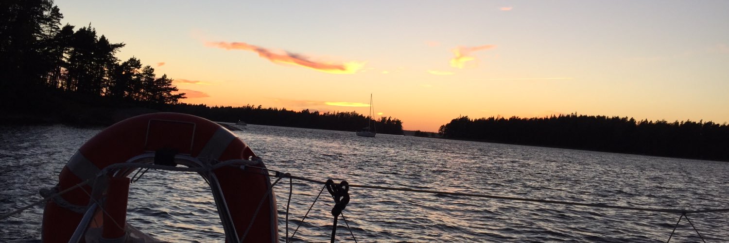 Anna Lönnroth banner