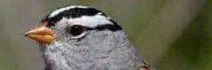 simo2x2's profile banner image