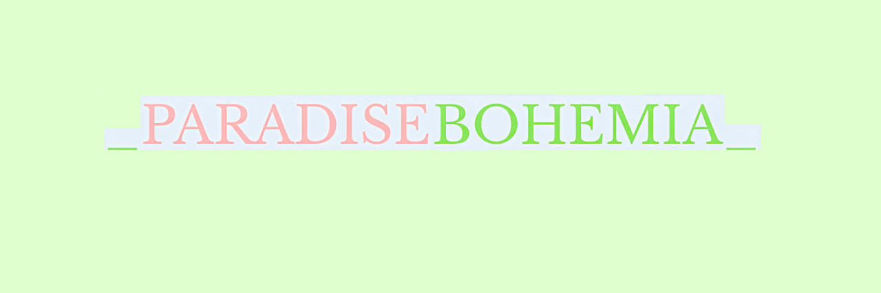 ilovedem's profile banner image