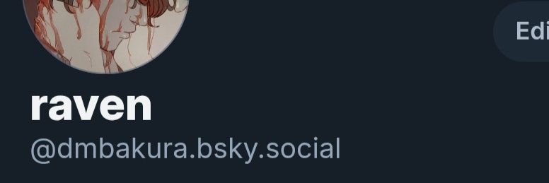 raven banner