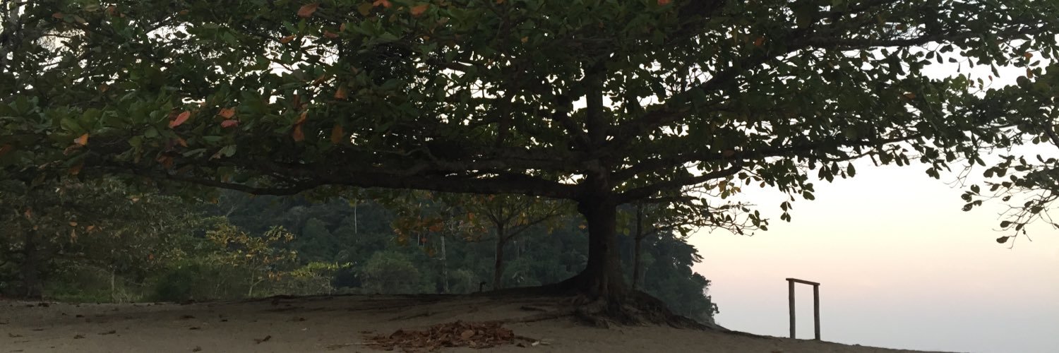 lanemaacedo's profile banner image