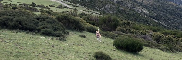 _AnaJimenez Profile Banner