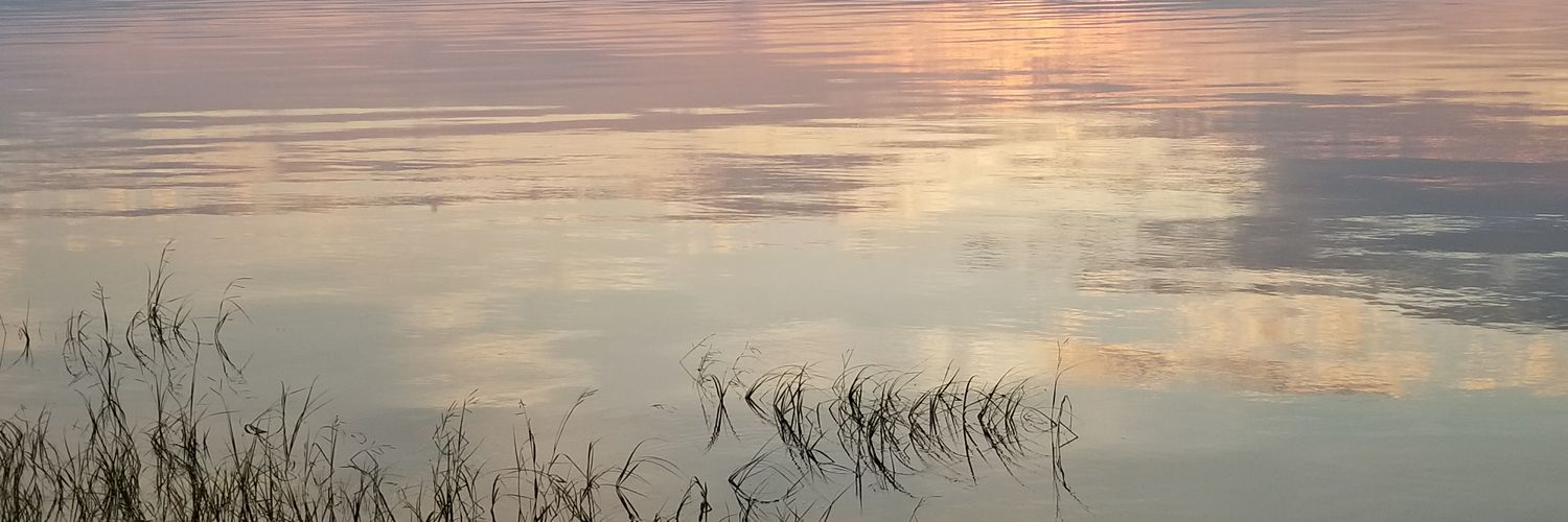 Shelly__Gordon's profile banner image