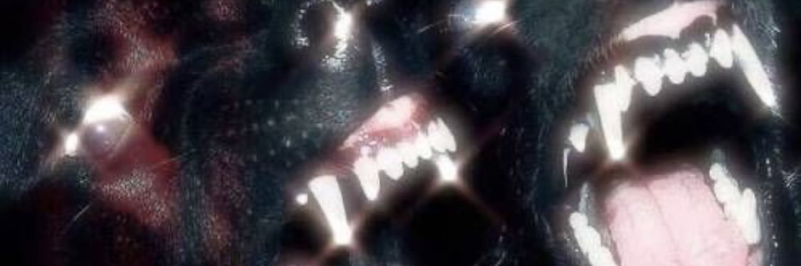 Shvde713's profile banner image