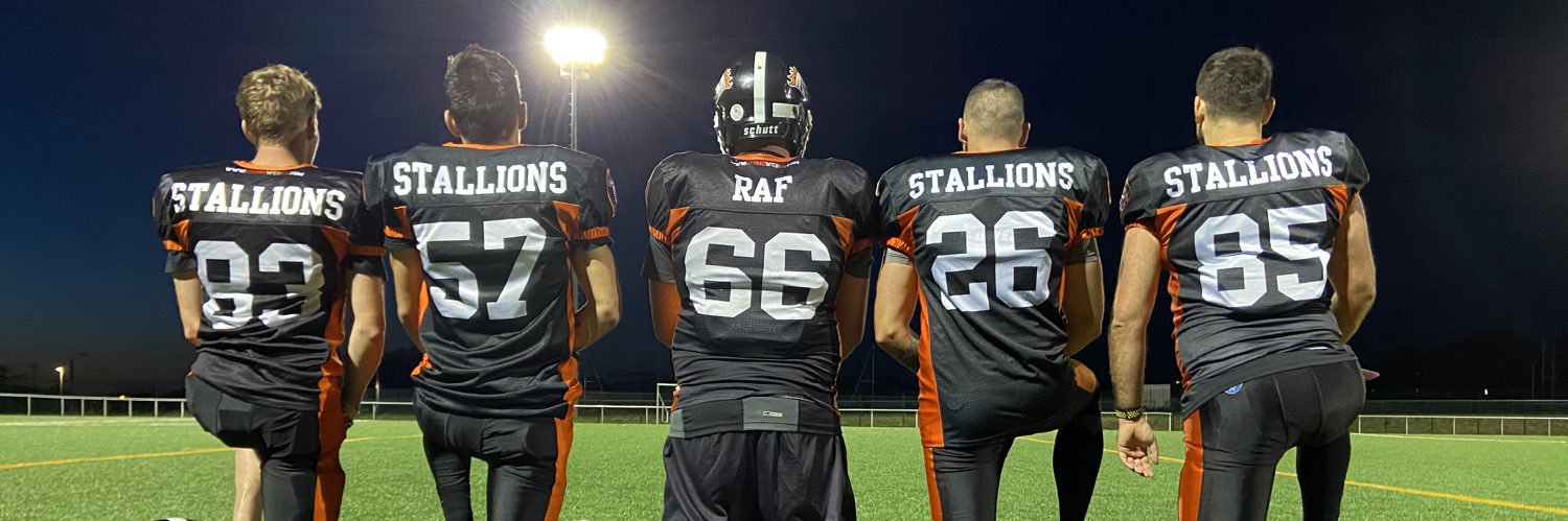 Stallionslaval's profile banner image