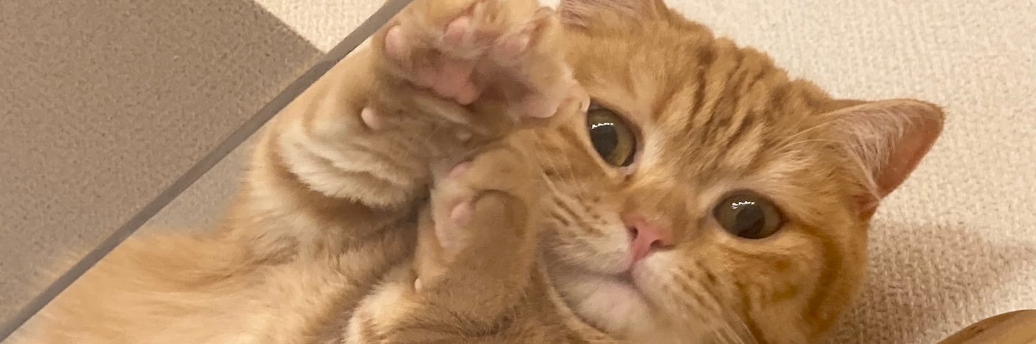samidpakeD's profile banner image