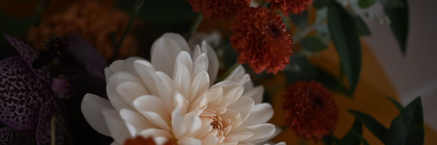 otame44's profile banner image