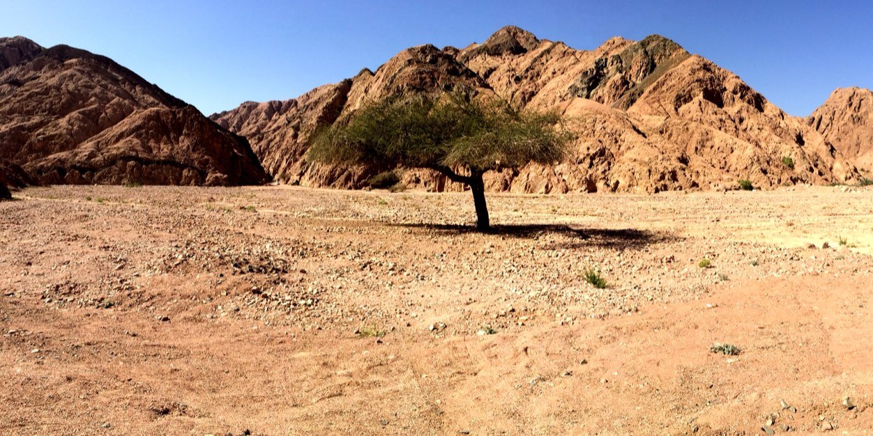 TheBedouinWay's profile banner image