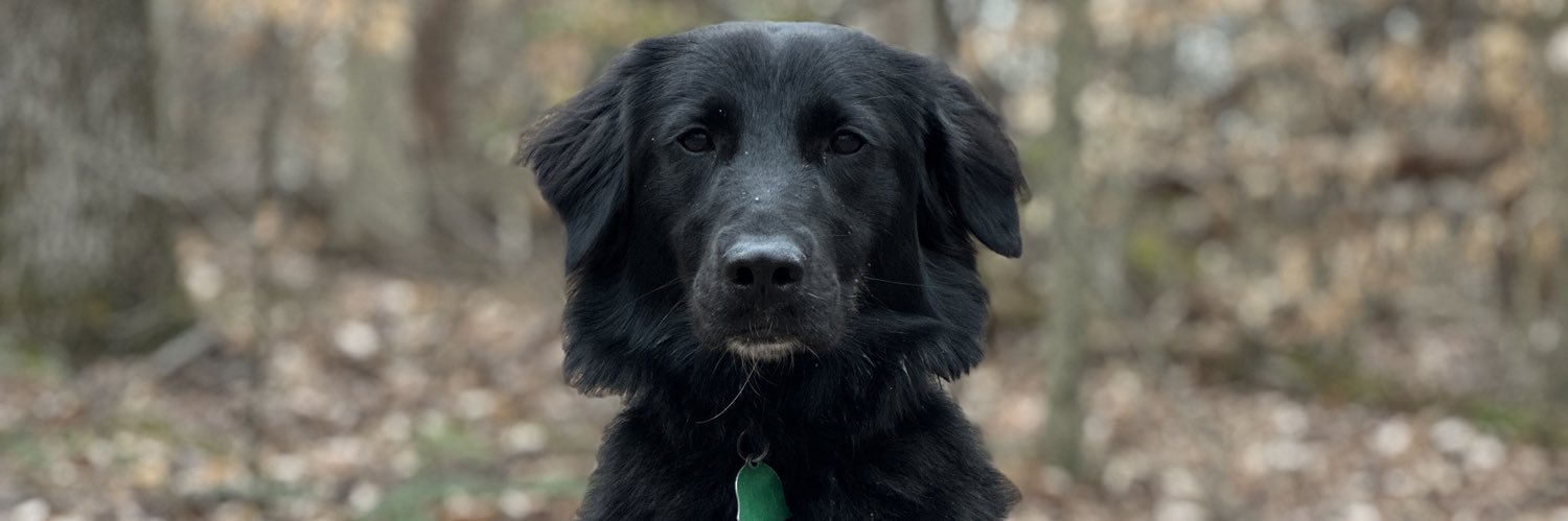 BenEstes6's profile banner image