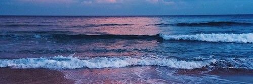 roseann_nonay's profile banner image