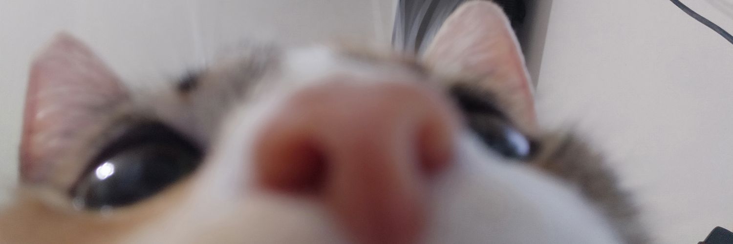 mechetgz's profile banner image