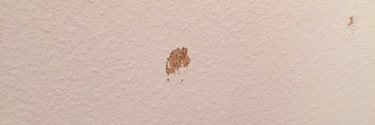 SlickLirik's profile banner image