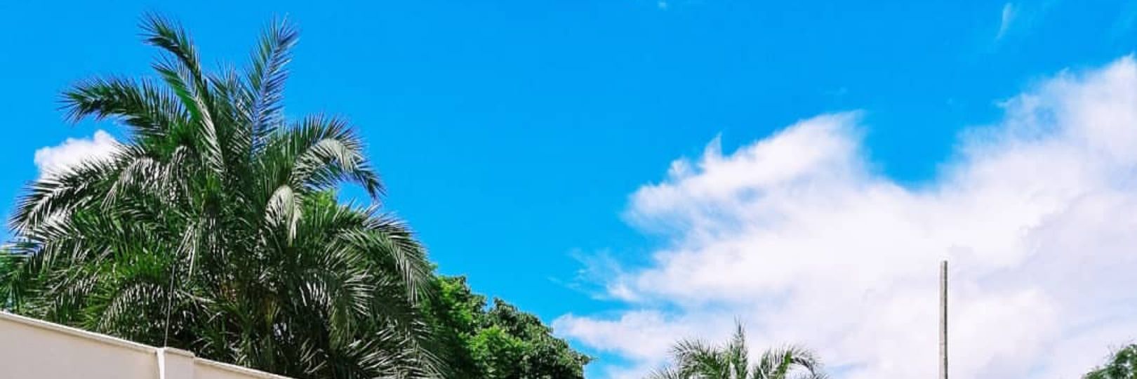KachaleJimmy's profile banner image