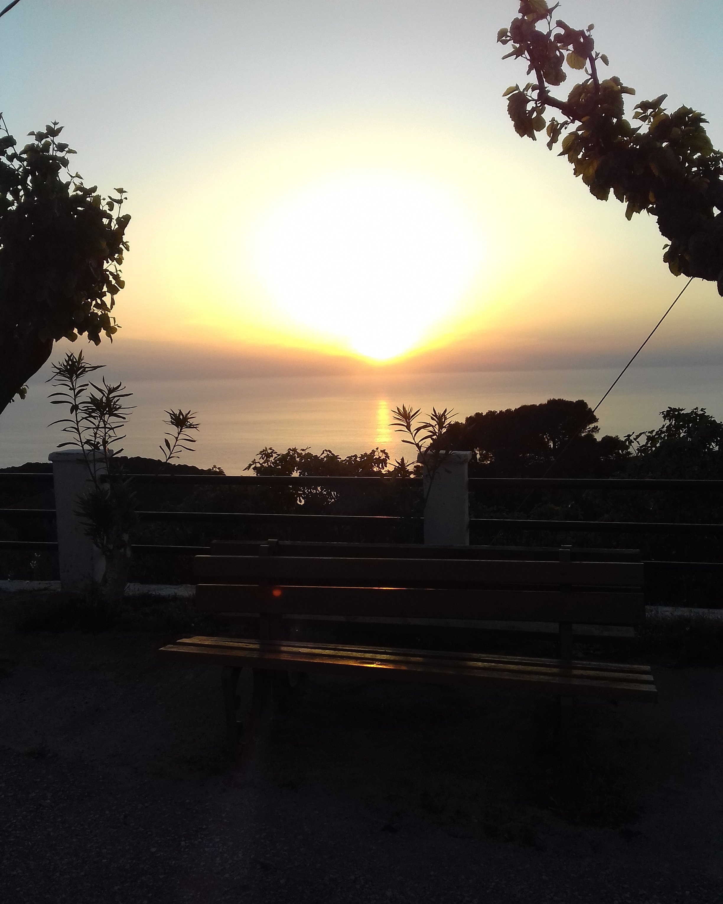 erialivizatou's profile banner image
