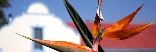 FynbosEstate's profile banner image