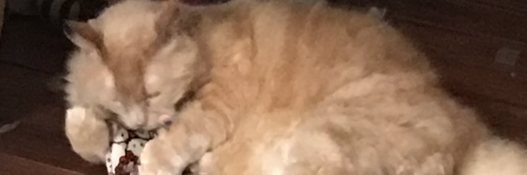 LeaMilo's profile banner image