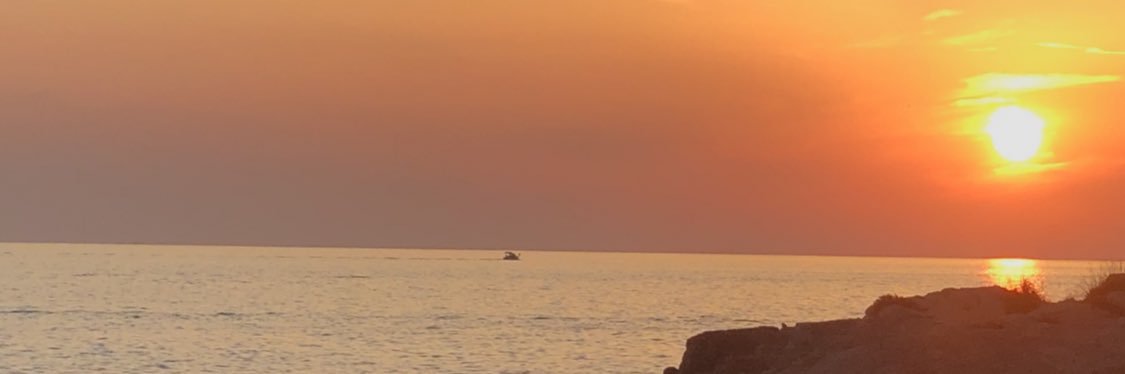 Mariana Marcaletti banner